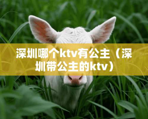 深圳哪个ktv有公主（深圳带公主的ktv）