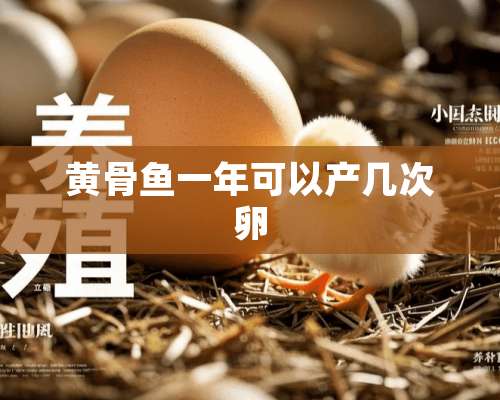 黄骨鱼一年可以产几次卵