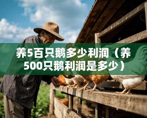 养5百只鹅多少利润（养500只鹅利润是多少）