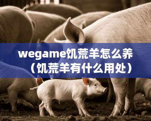 wegame饥荒羊怎么养（饥荒羊有什么用处）