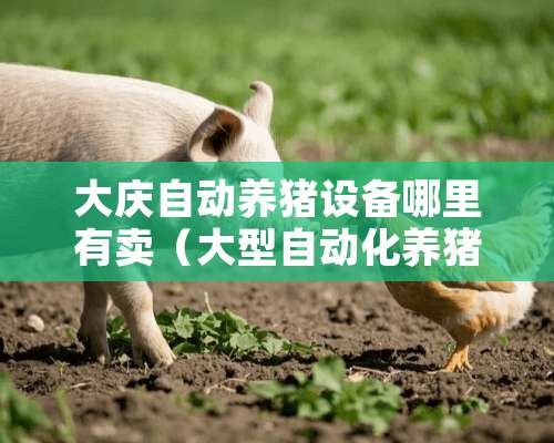 大庆自动养猪设备哪里有卖（大型自动化养猪场视频）