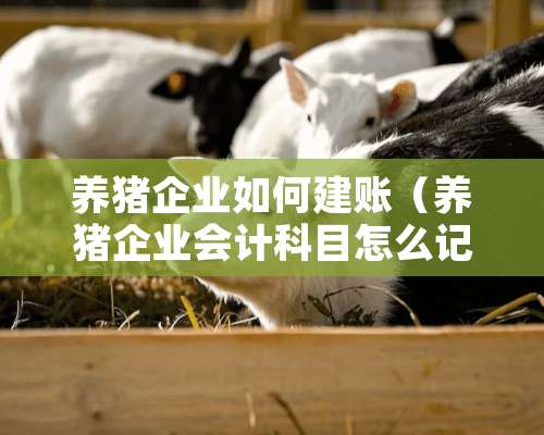 养猪企业如何建账（养猪企业会计科目怎么记账）