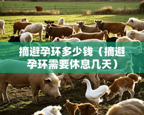 摘避孕环多少钱（摘避孕环需要休息几天）