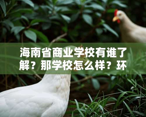 海南省商业学校有谁了解？那学校怎么样？环境好吗？