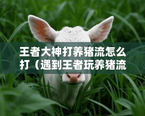 王者大神打养猪流怎么打（遇到王者玩养猪流怎么打）