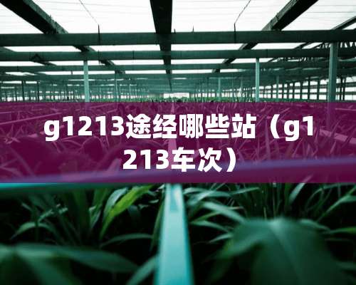 g1213途经哪些站（g1213车次）