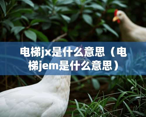 电梯jx是什么意思（电梯jem是什么意思）