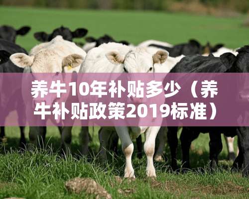 养牛10年补贴多少（养牛补贴政策2019标准）