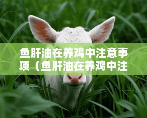 鱼肝油在养鸡中注意事项（鱼肝油在养鸡中注意事项有哪些）