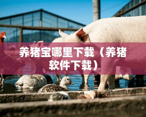 养猪宝哪里下载（养猪软件下载）