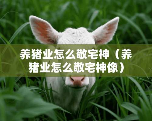 养猪业怎么敬宅神（养猪业怎么敬宅神像）