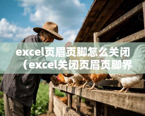 excel页眉页脚怎么关闭（excel关闭页眉页脚界面）