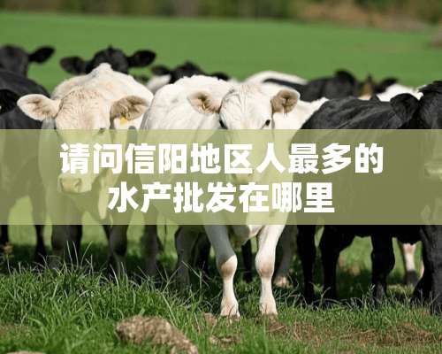 请问信阳地区人最多的水产批发在哪里