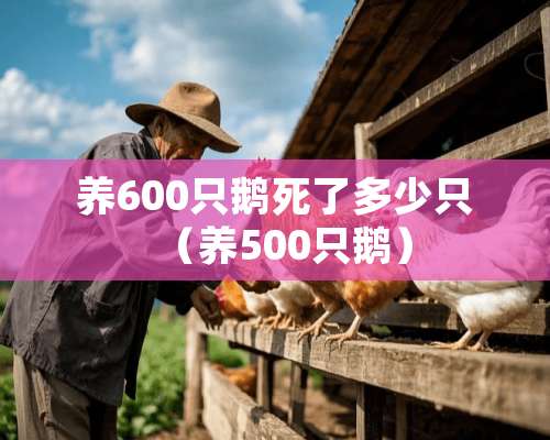 养600只鹅死了多少只（养500只鹅）