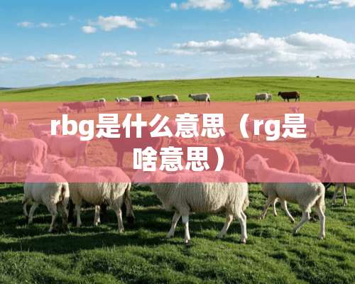 rbg是什么意思（rg是啥意思）