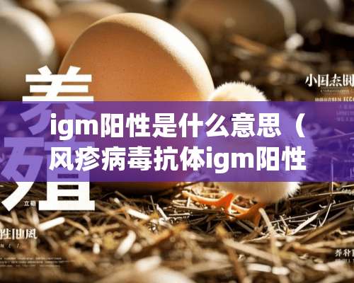 igm阳性是什么意思（风疹**抗体igm阳性是什么意思）