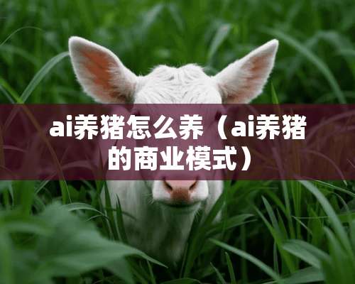 ai养猪怎么养（ai养猪的商业模式）