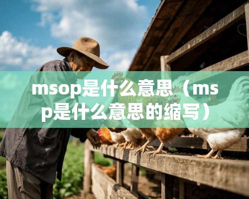 msop是什么意思（msp是什么意思的缩写）