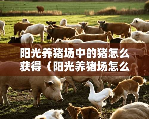 阳光养猪场中的猪怎么获得（阳光养猪场怎么升级到最新版本）