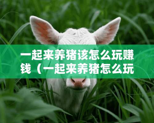 一起来养猪该怎么玩赚钱（一起来养猪怎么玩?）