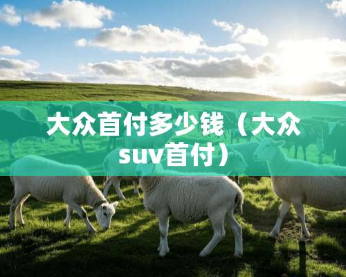 大众首付多少钱（大众suv首付）