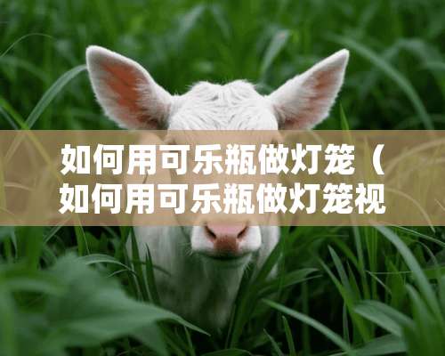 如何用可乐瓶做灯笼（如何用可乐瓶做灯笼视频）