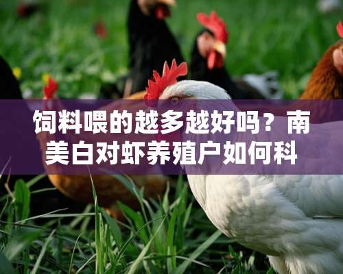 饲料喂的越多越好吗？南美白对虾养殖户如何科学地放料台？