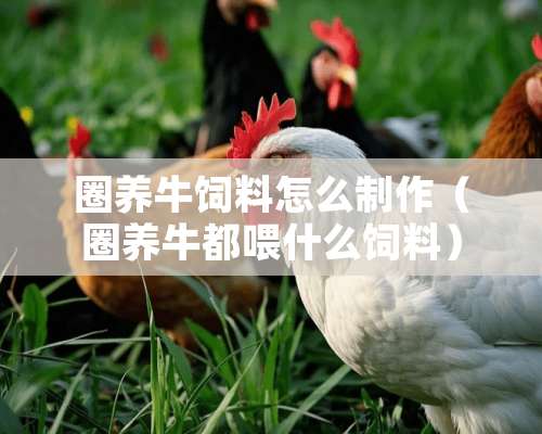 圈养牛饲料怎么制作（圈养牛都喂什么饲料）