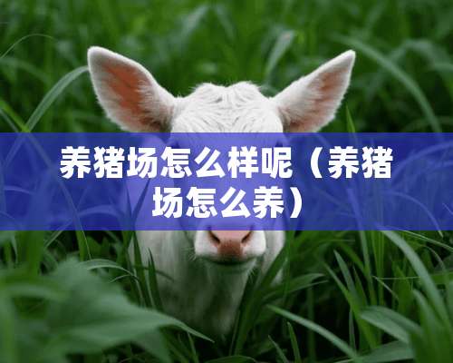 养猪场怎么样呢（养猪场怎么养）