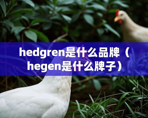 hedgren是什么品牌（hegen是什么牌子）