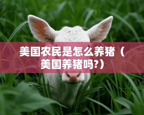 美国农民是怎么养猪（美国养猪吗?）