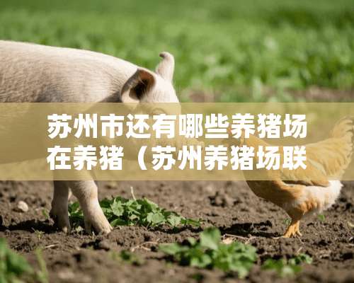 苏州市还有哪些养猪场在养猪（苏州养猪场联系电话）