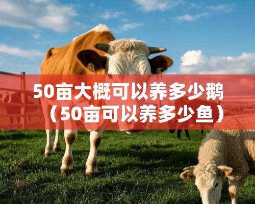 50亩大概可以养多少鹅（50亩可以养多少鱼）