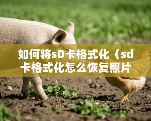 如何将sD卡格式化（sd卡格式化怎么恢复照片）