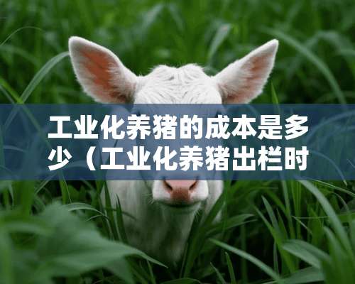 工业化养猪的成本是多少（工业化养猪出栏时间）