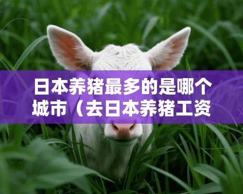 日本养猪最多的是哪个城市（去日本养猪工资多少）