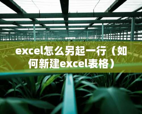 excel怎么另起一行（如何新建excel表格）