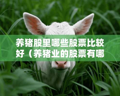 养猪股里哪些股票比较好（养猪业的股票有哪些）