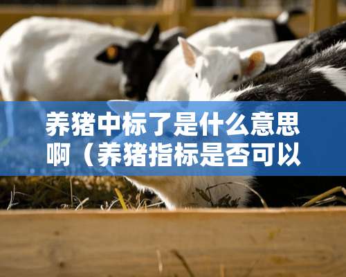 养猪中标了是什么意思啊（养猪指标是否可以买卖）