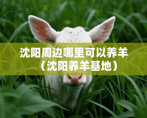 沈阳周边哪里可以养羊（沈阳养羊基地）