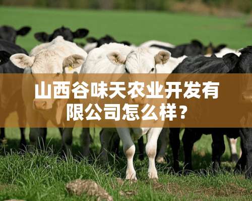 山西谷味天农业开发有限公司怎么样？