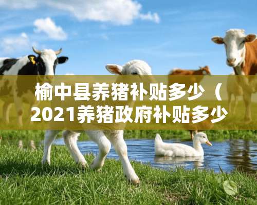 榆中县养猪补贴多少（2021养猪政府补贴多少钱）