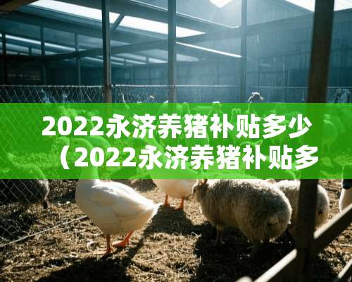 2022永济养猪补贴多少（2022永济养猪补贴多少钱）