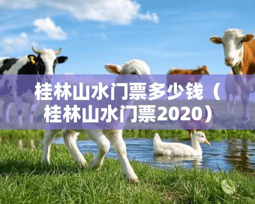 桂林山水门票多少钱（桂林山水门票2020）