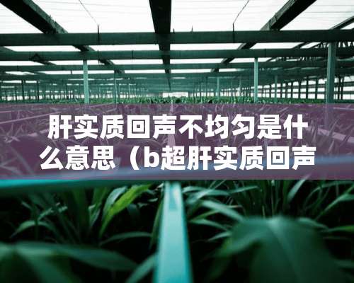 肝实质回声不均匀是什么意思（b超肝实质回声不均匀是什么意思）