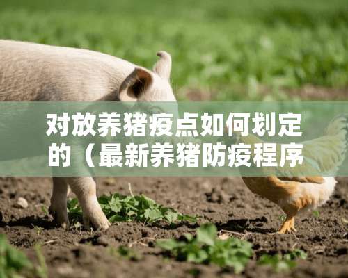 对放养猪疫点如何划定的（最新养猪防疫程序表）