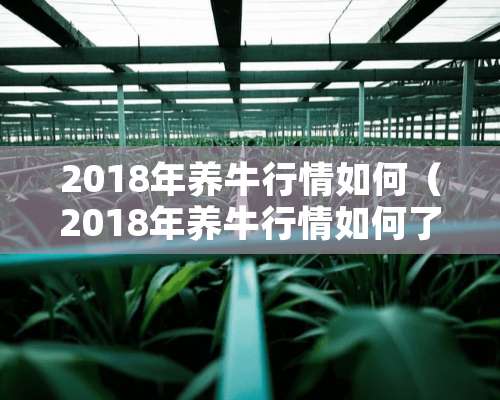 2018年养牛行情如何（2018年养牛行情如何了）