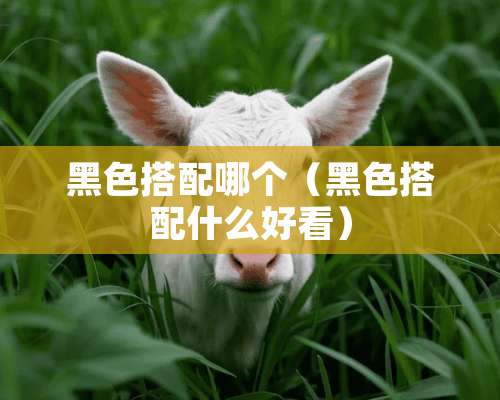 黑色搭配哪个（黑色搭配什么好看）