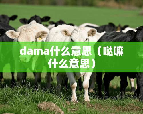 dama什么意思（哒嘛什么意思）