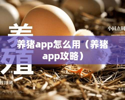 养猪app怎么用（养猪app攻略）